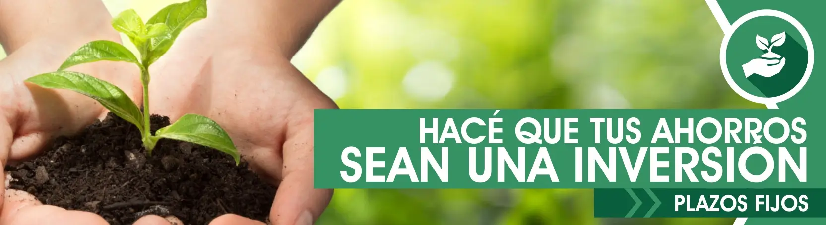 Banner institucional de Ameport