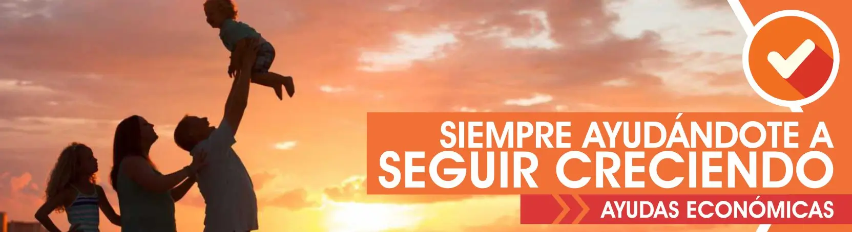 Banner institucional de Ameport