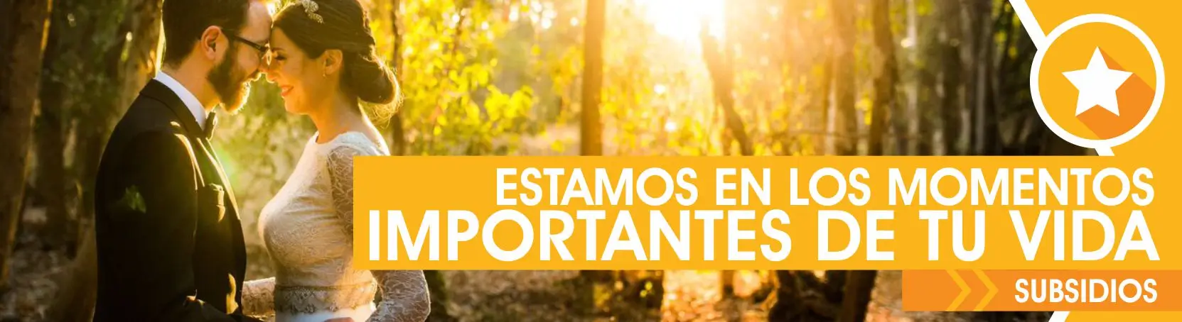 Banner institucional de Ameport