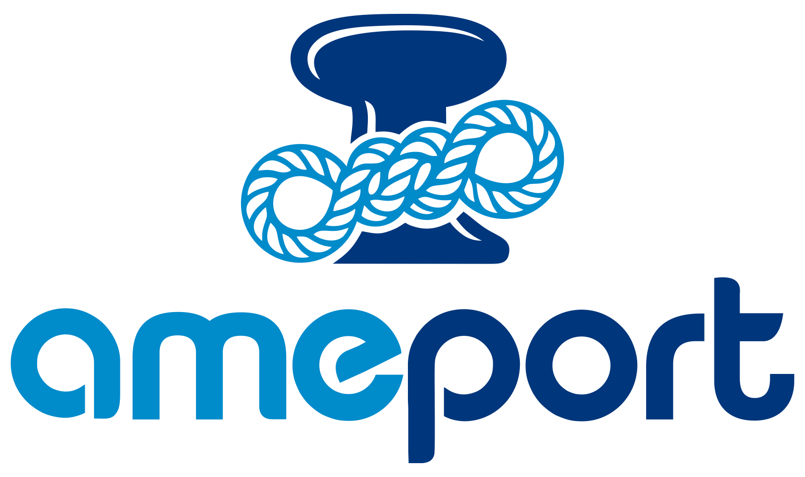Logo Ameport